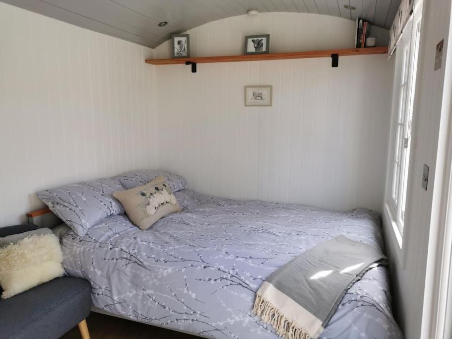 Willa Elvan Farm Shepherd'S Hut Exeter Zewnętrze zdjęcie