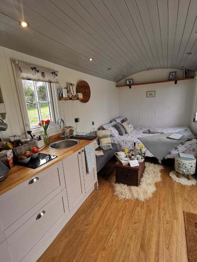 Willa Elvan Farm Shepherd'S Hut Exeter Zewnętrze zdjęcie