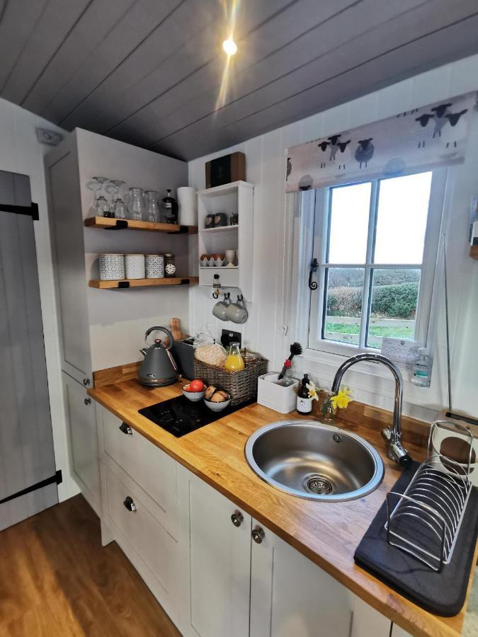 Willa Elvan Farm Shepherd'S Hut Exeter Zewnętrze zdjęcie