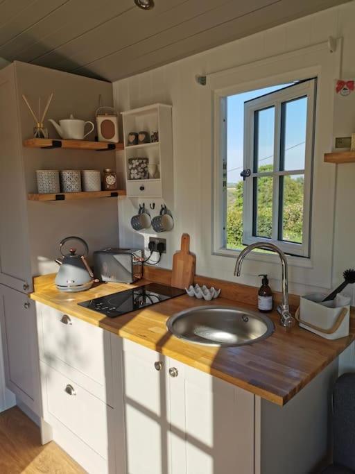 Willa Elvan Farm Shepherd'S Hut Exeter Zewnętrze zdjęcie