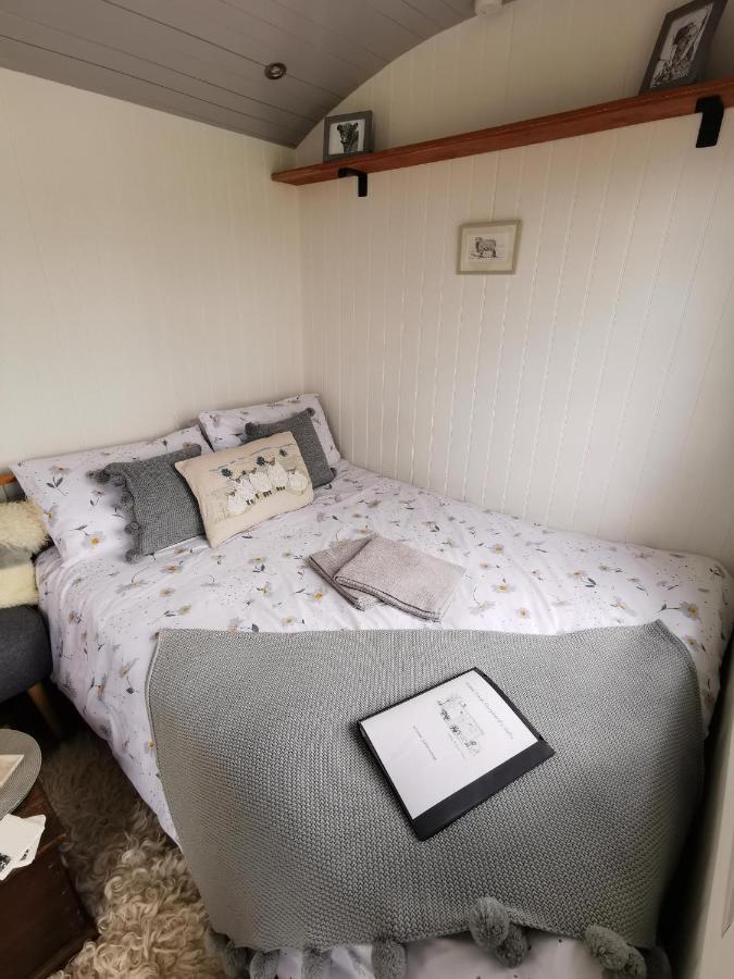 Willa Elvan Farm Shepherd'S Hut Exeter Zewnętrze zdjęcie